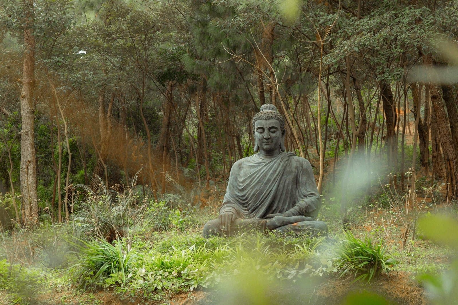 A person meditating with their eyes closed, with a soft glow radiating from their third eye area.
